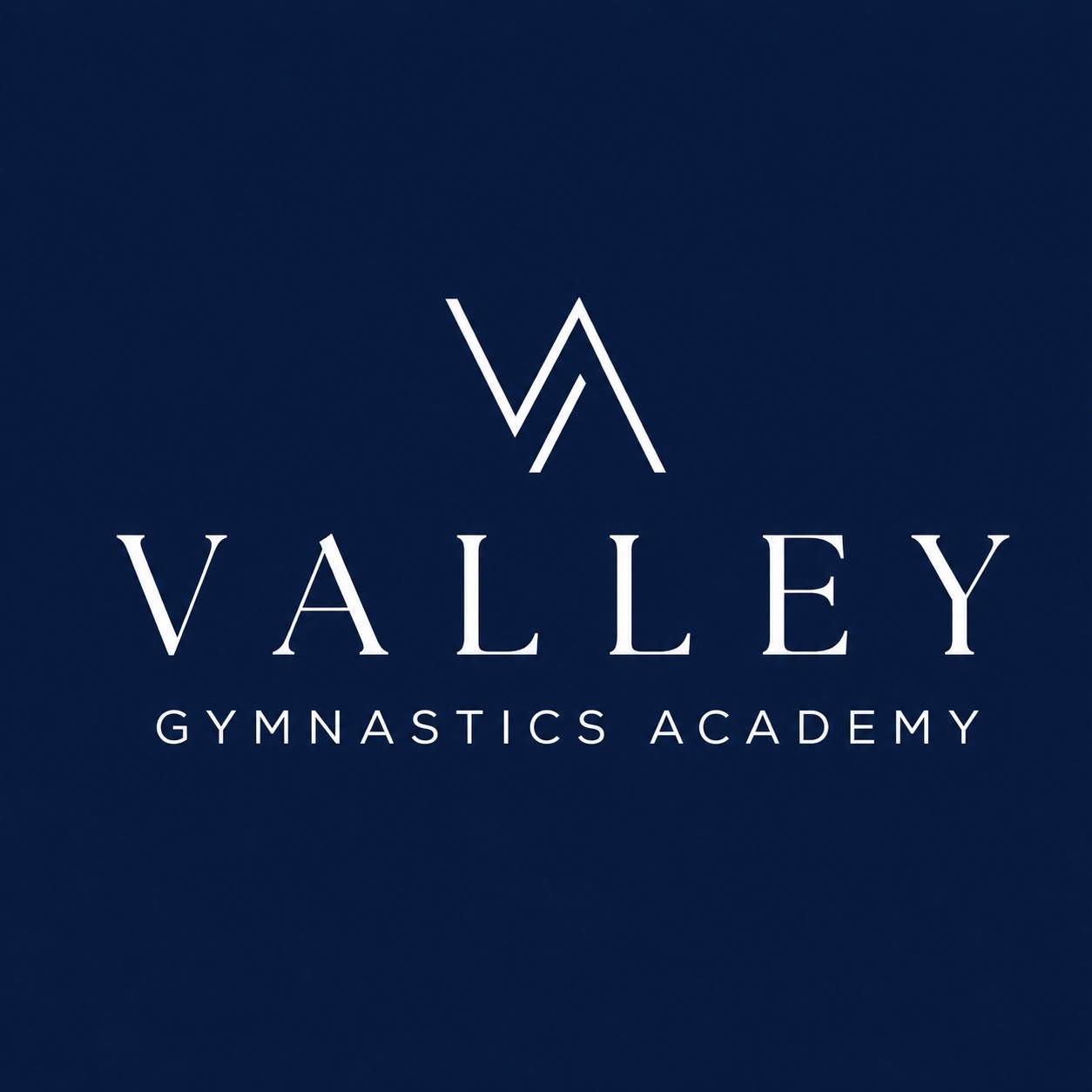 Valley Gymnastics Academy logo